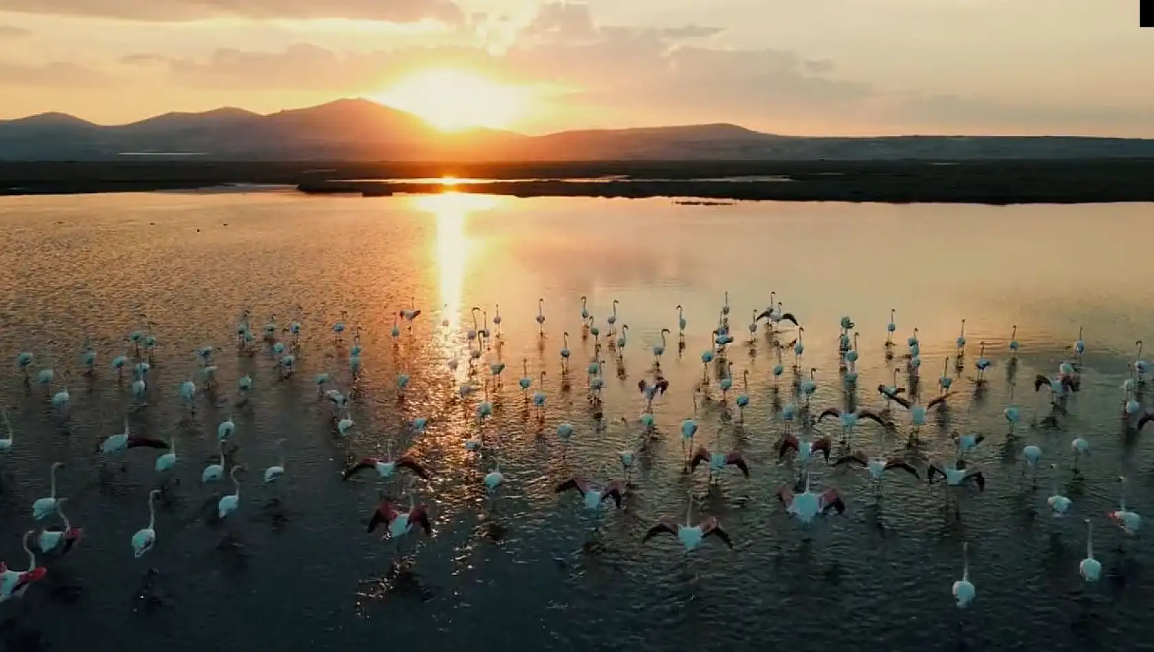 Kayseri'de gezilecek yerler... Bugün Hürmetçi Sazlığına misafir olalım... Hep birlikte gezelim...