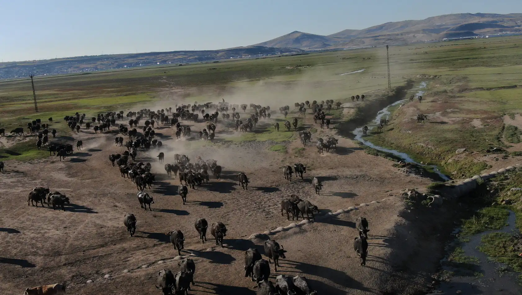 Afrika değil Kayseri!