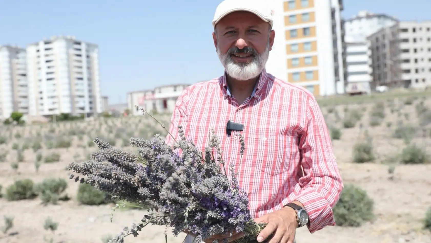 Çolakbayrakdar Lavanta bahçesinin ilk hasadını yaptı