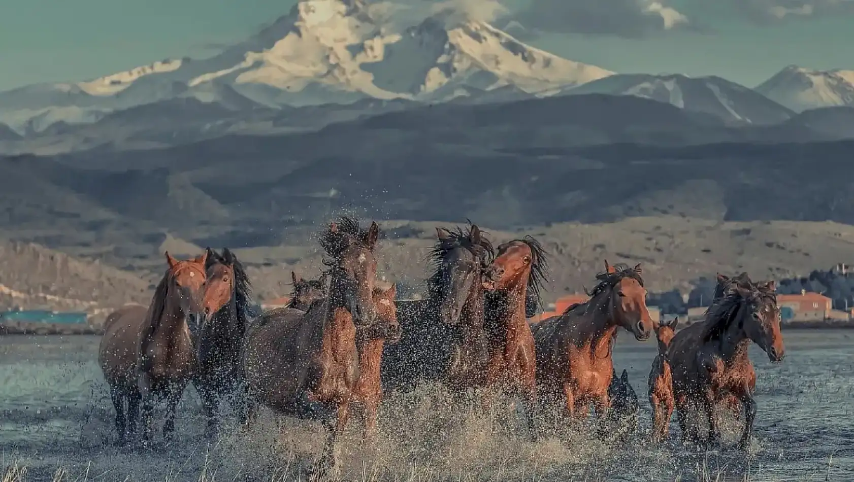 Kayseri kısa kısa: Adliye, İstifa, Kaza, Ulaşım desteği, Zam, Kayserispor...