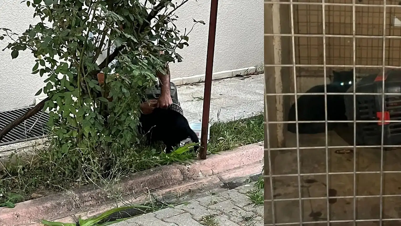 Kayseri kısa kısa: Operasyon, Meral Koşar, Müjde, Kayserispor...