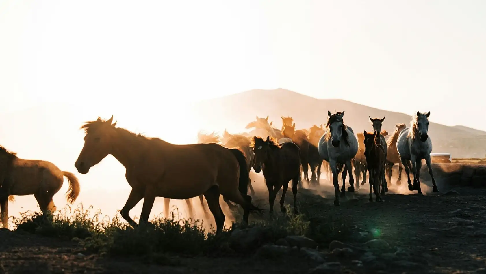 Milyonların kullandığı uygulamada Kayseri bakın nasıl tanıtılıyor?
