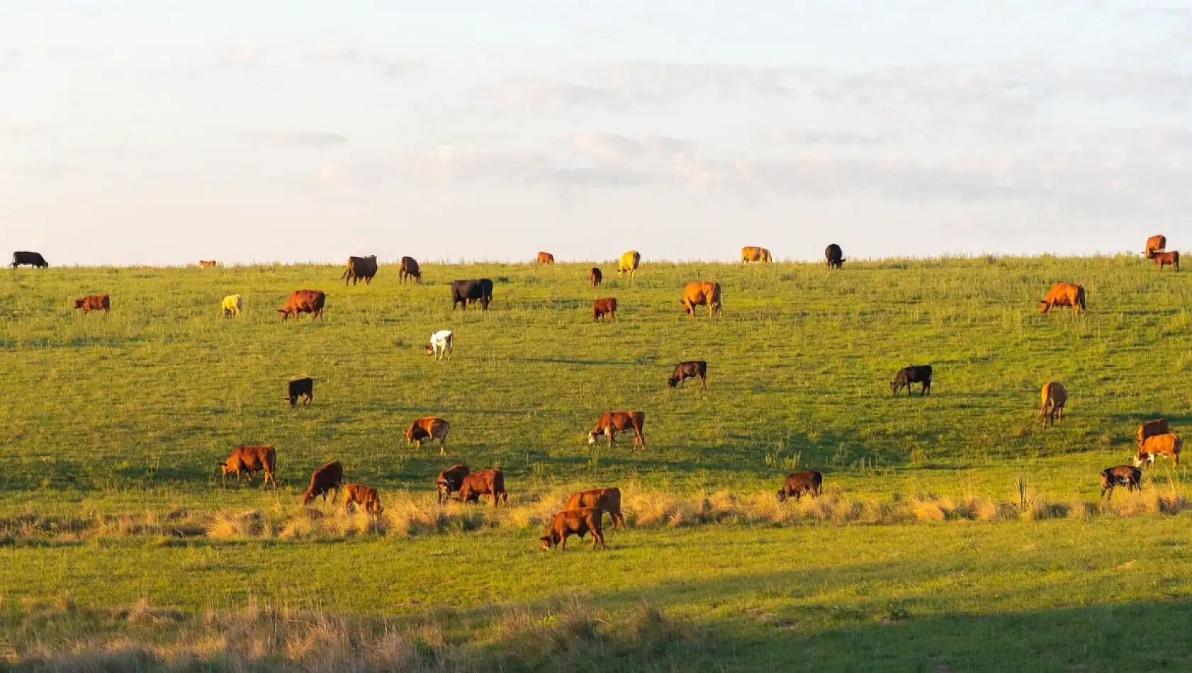 Kayseri, Sivas ve Yozgat'ı geride bıraktı!