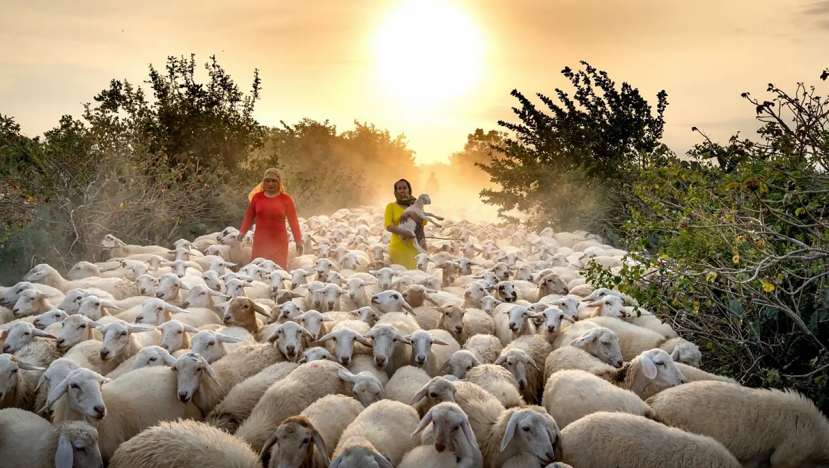 Kayseri, Sivas ve Yozgat'ı geride bıraktı!