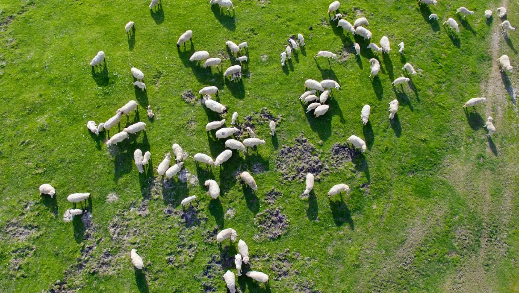 Kayseri, Sivas ve Yozgat'ı geride bıraktı!