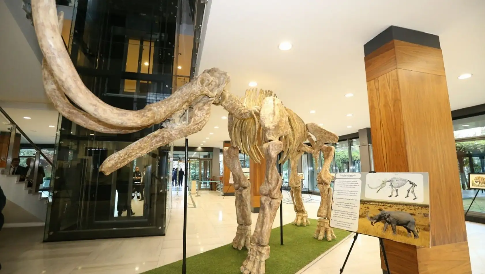 Bu amerikan dizisi, Kayseri'yi akıllara getirdi! İşte detaylar