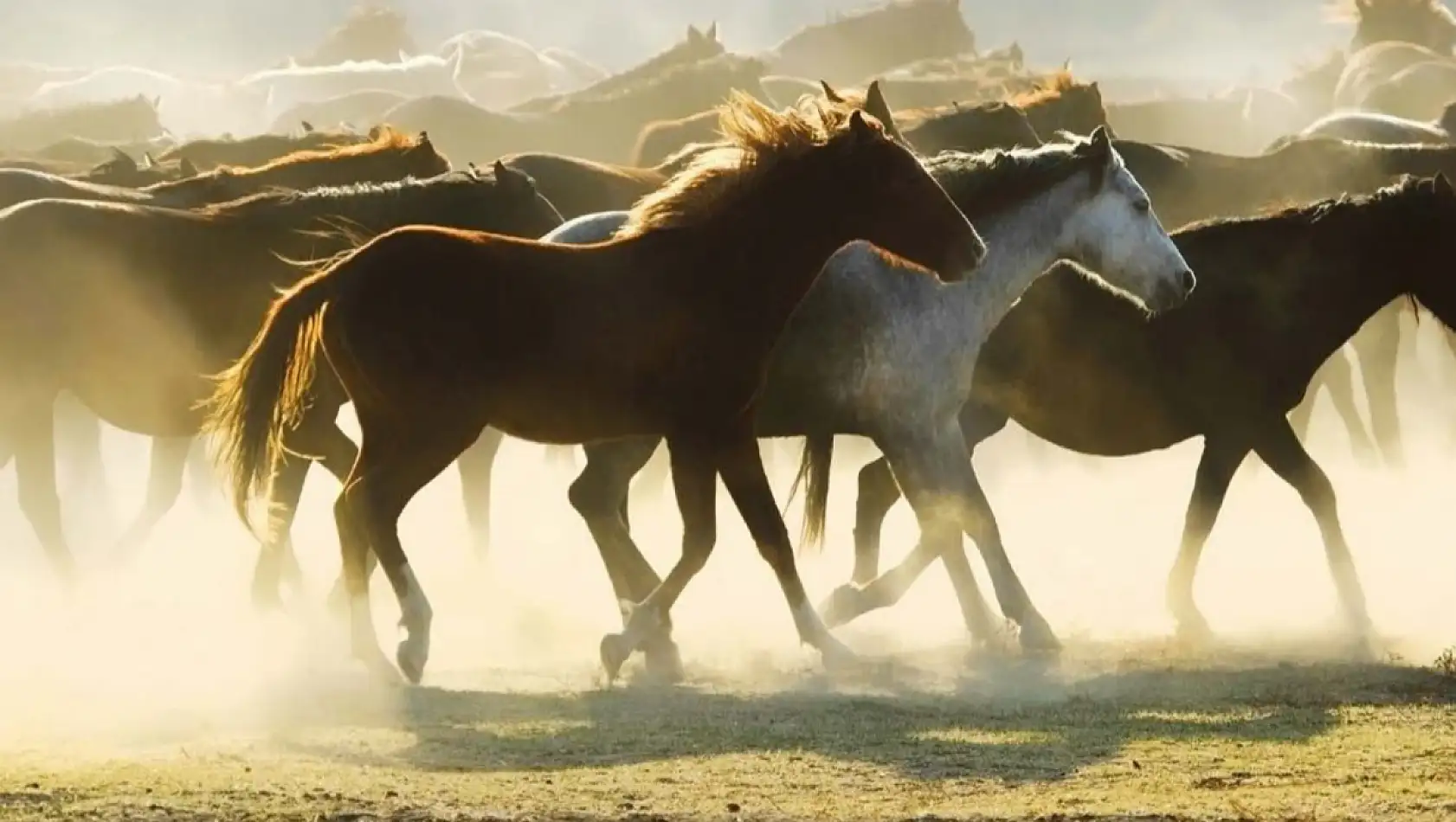 Kayseri'yi hiç bu açıdan gördünüz mü?