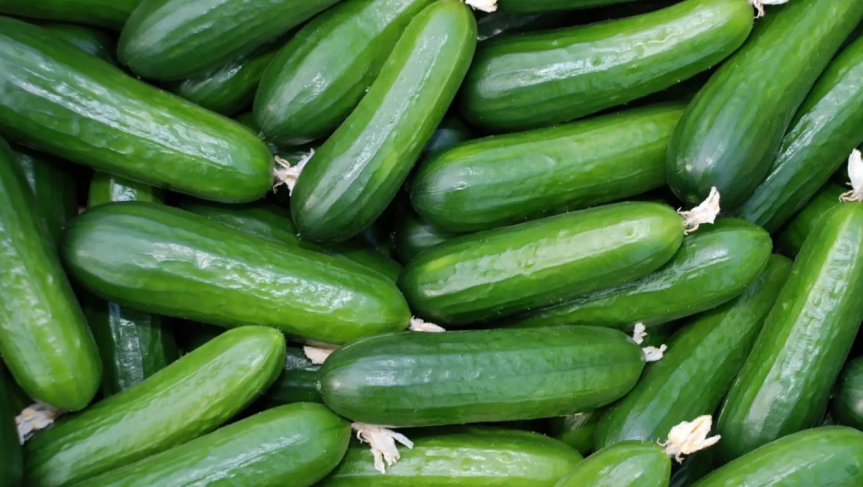 Kayseri'de fiyatlar yine uçuşa geçti – Yüzde 60'a varan zam!