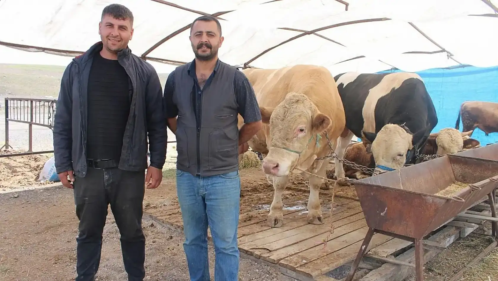 Kayseri kısa kısa: Kurban Bayramı, Kene paniği, 4 milyon TL'lik yatırım, Kayseripor...