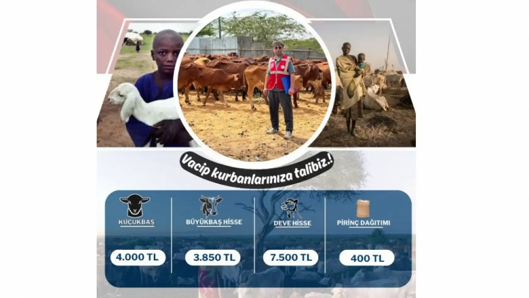 Kayseri'de fiyatlar el yakıyor! Peki kurban mı? Vekalet mi?