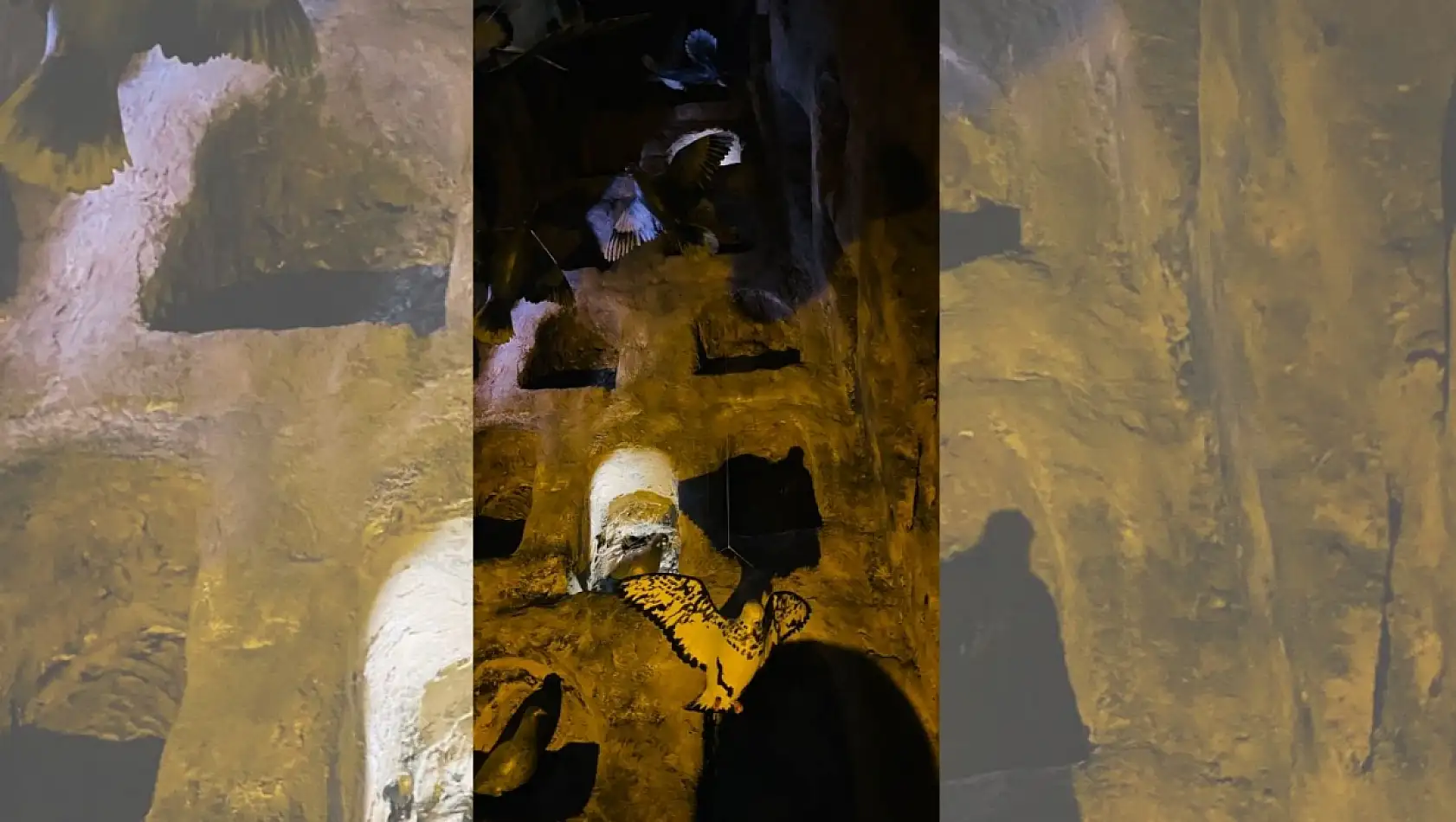 Kayseri'de açıldı! binlerce kişi görmek için akın ediyor