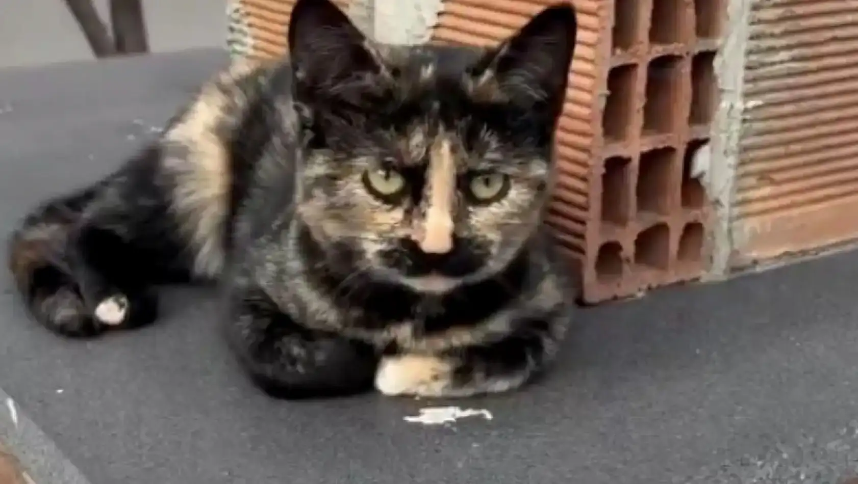 Kayseri'den kısa kısa: Emniyet, Alpaslan Baki Ertekin, Develi tepki, Üst geçit, Kayserispor…