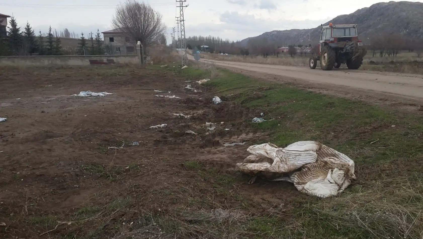 Gübreyi Yedikten Sonra Telef Oldular