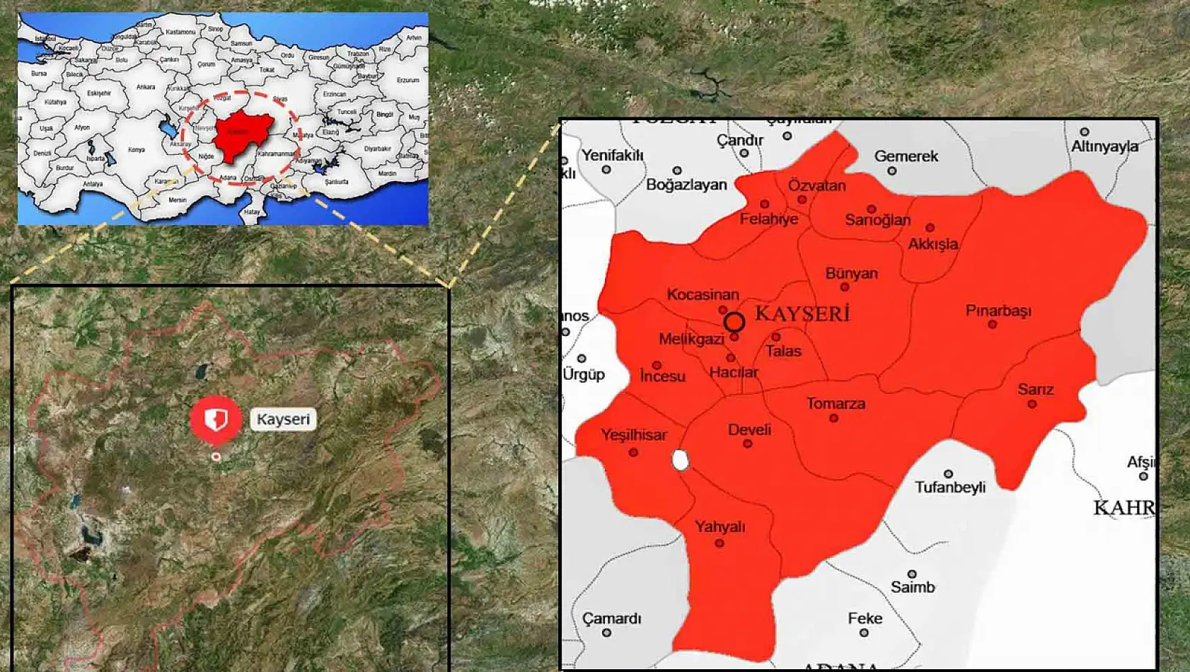 İstila kontrolden çıktı – Bu tür tehdit saçıyor, artık evlere de giriyor!