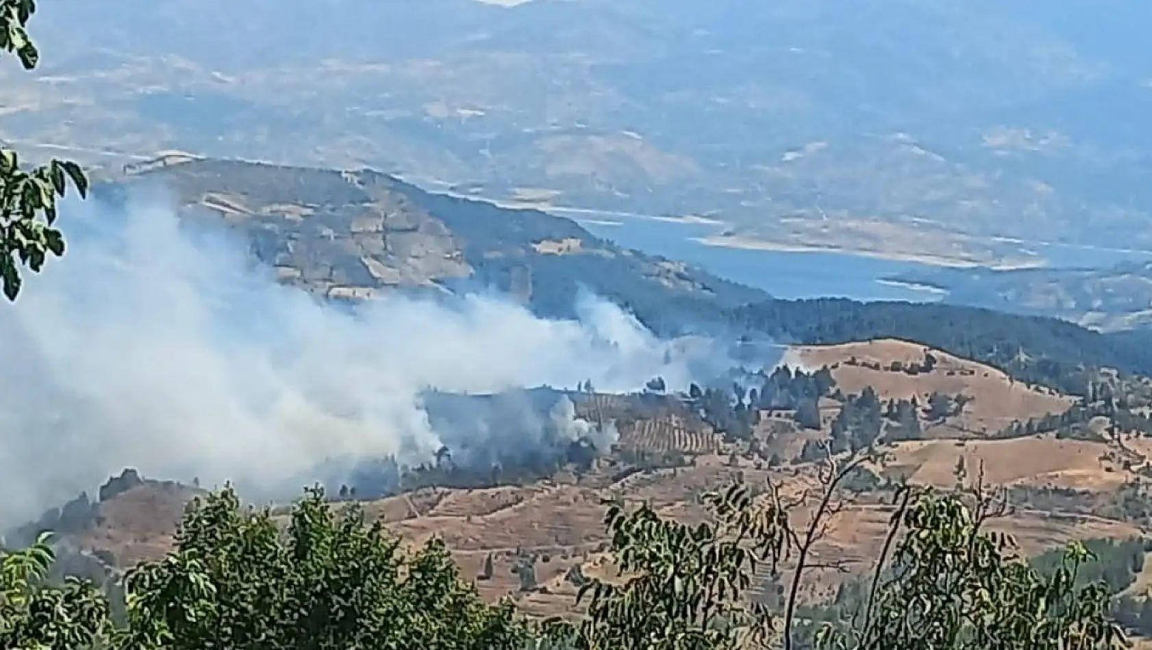 Kahramanmaraş'ta orman yangını- Müdahale sürüyor!