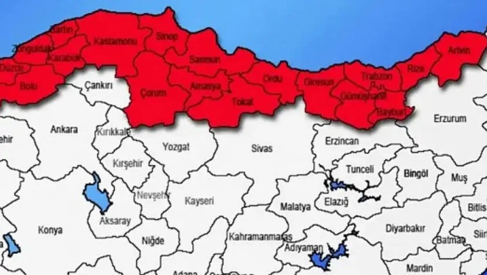 Karadeniz'de istila büyüyor - Kayserililer tedirgin!