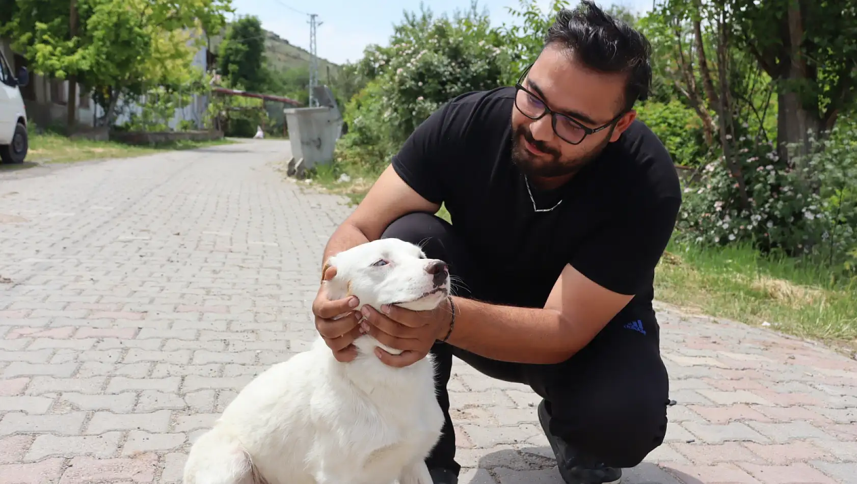 Kayseri'de Bu Köpek Maskot Oldu!