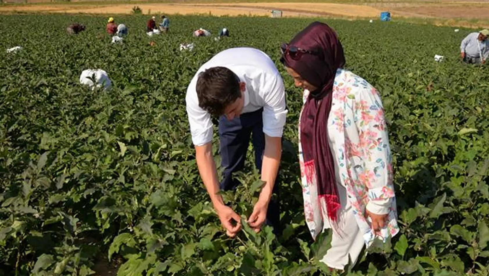 Kayseri'de Ekolojik Tarım Projesi nedir?