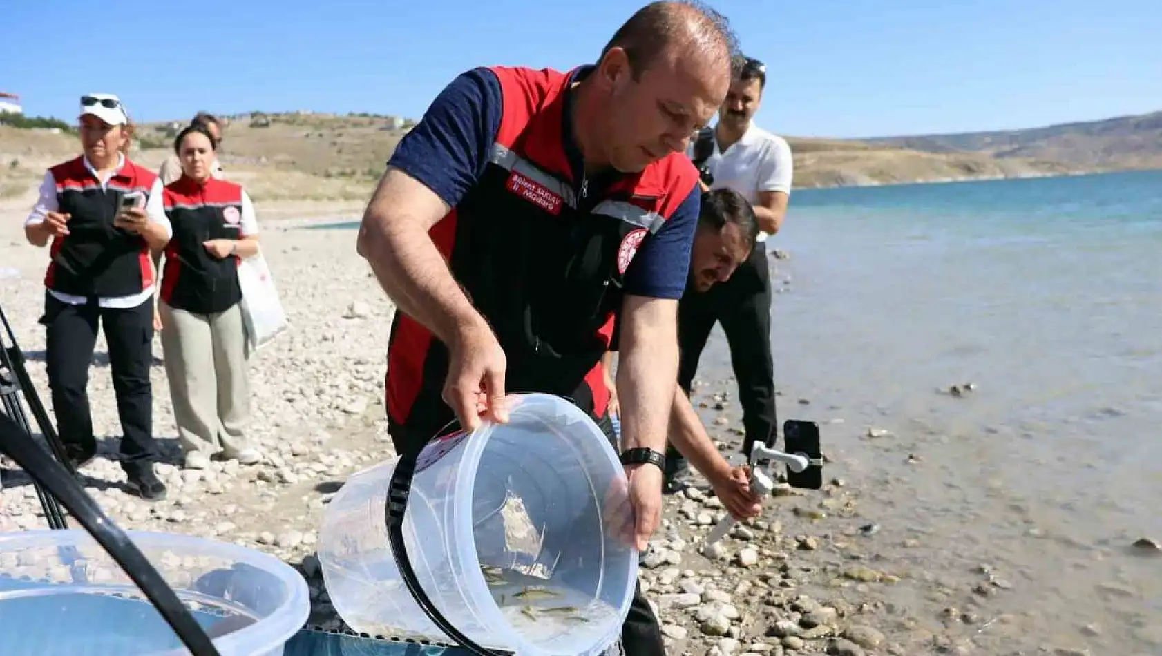 1 buçuk milyon balık suya bırakıldı!