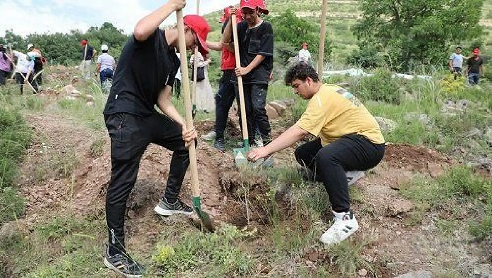 Çevre Günü'nde Ali Dağı'nda özel program