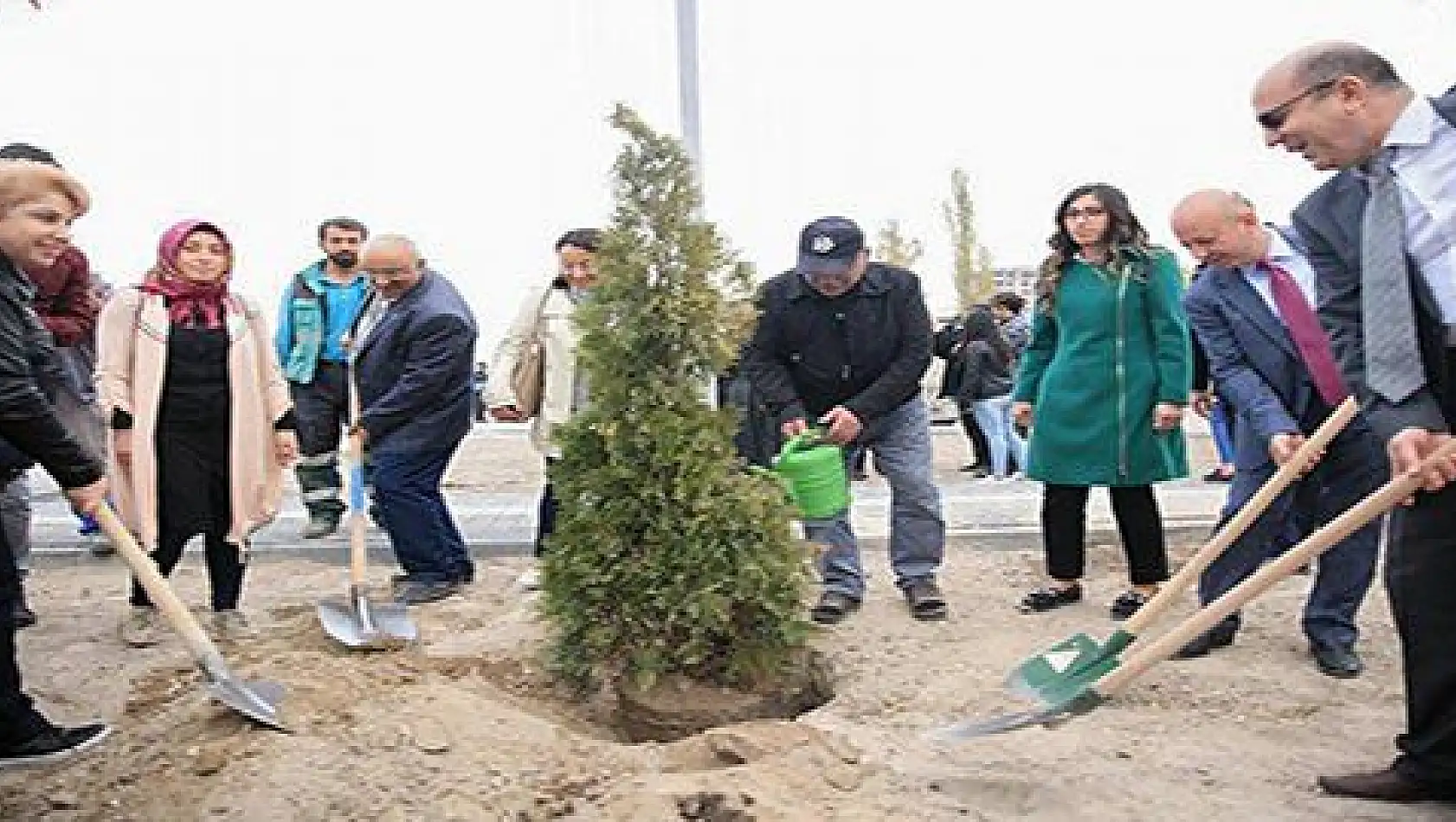 Kocasinan, bu sefer diyabet farkındalığı için ağaç dikti 