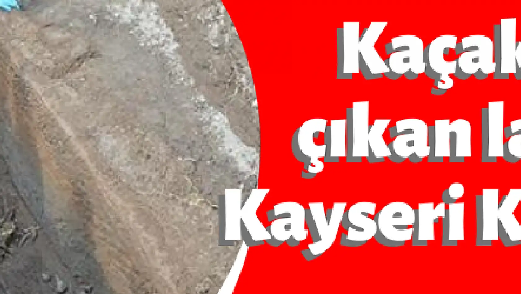 Kaçak kazıda bulunan lahit mezar, Kayseri Kalesi'nde