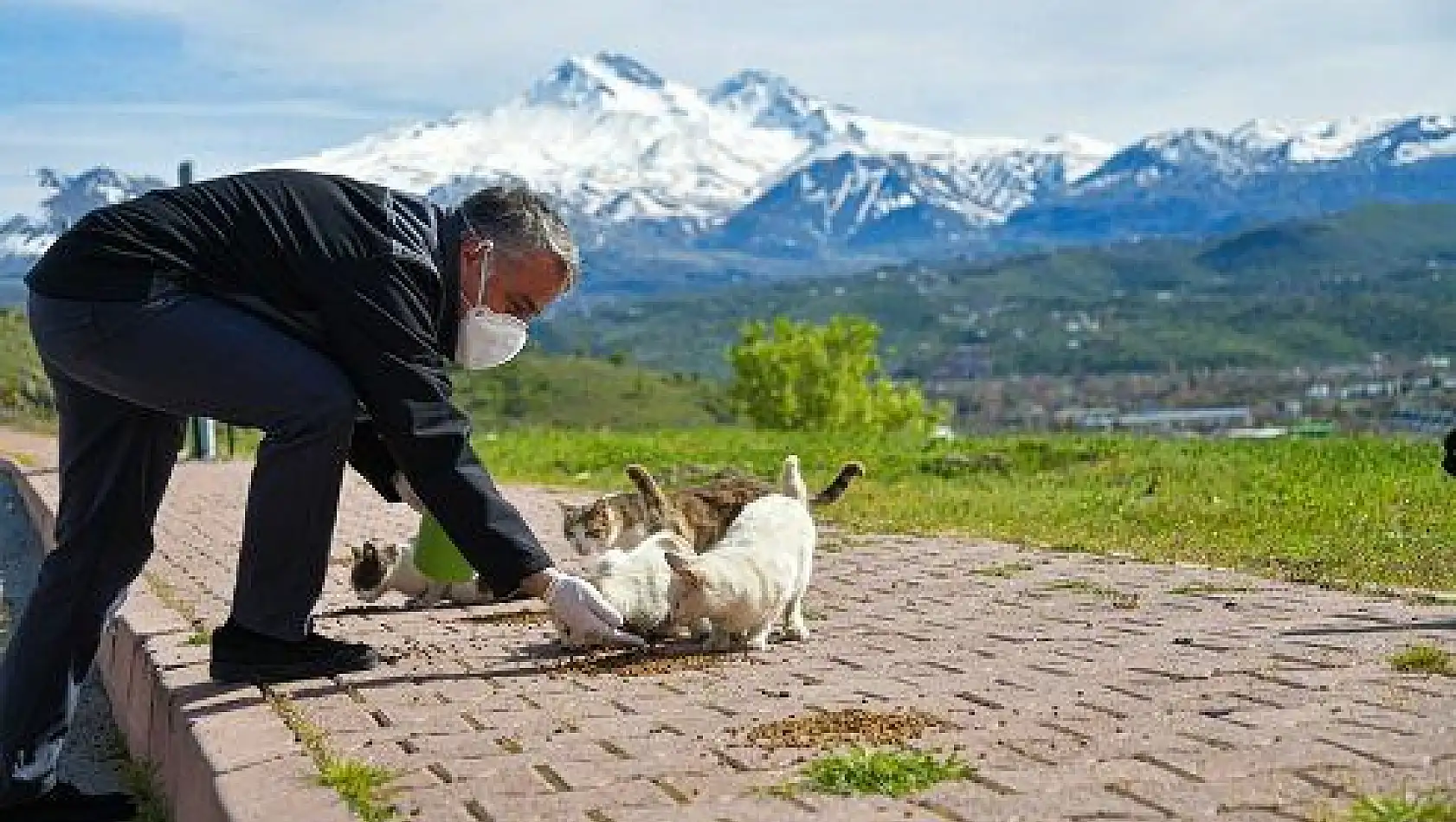 Hayvanlar için sokağa yiyecek bırakıldı