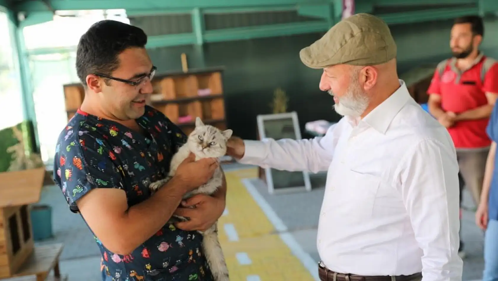 Kocasinan'da bu kasabada kediler yaşıyor!