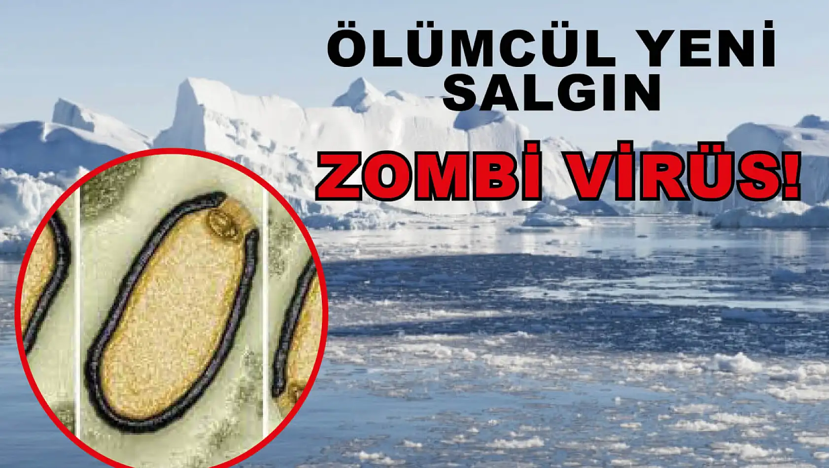 Ölümcül Yeni  Salgın – Zombi Virüsü