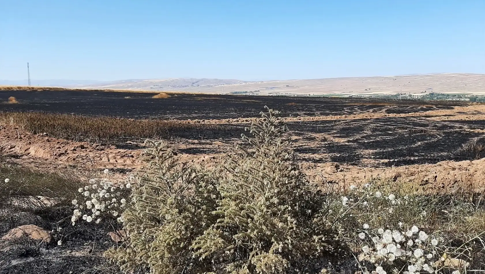 Sarıoğlan'da tarla küle döndü