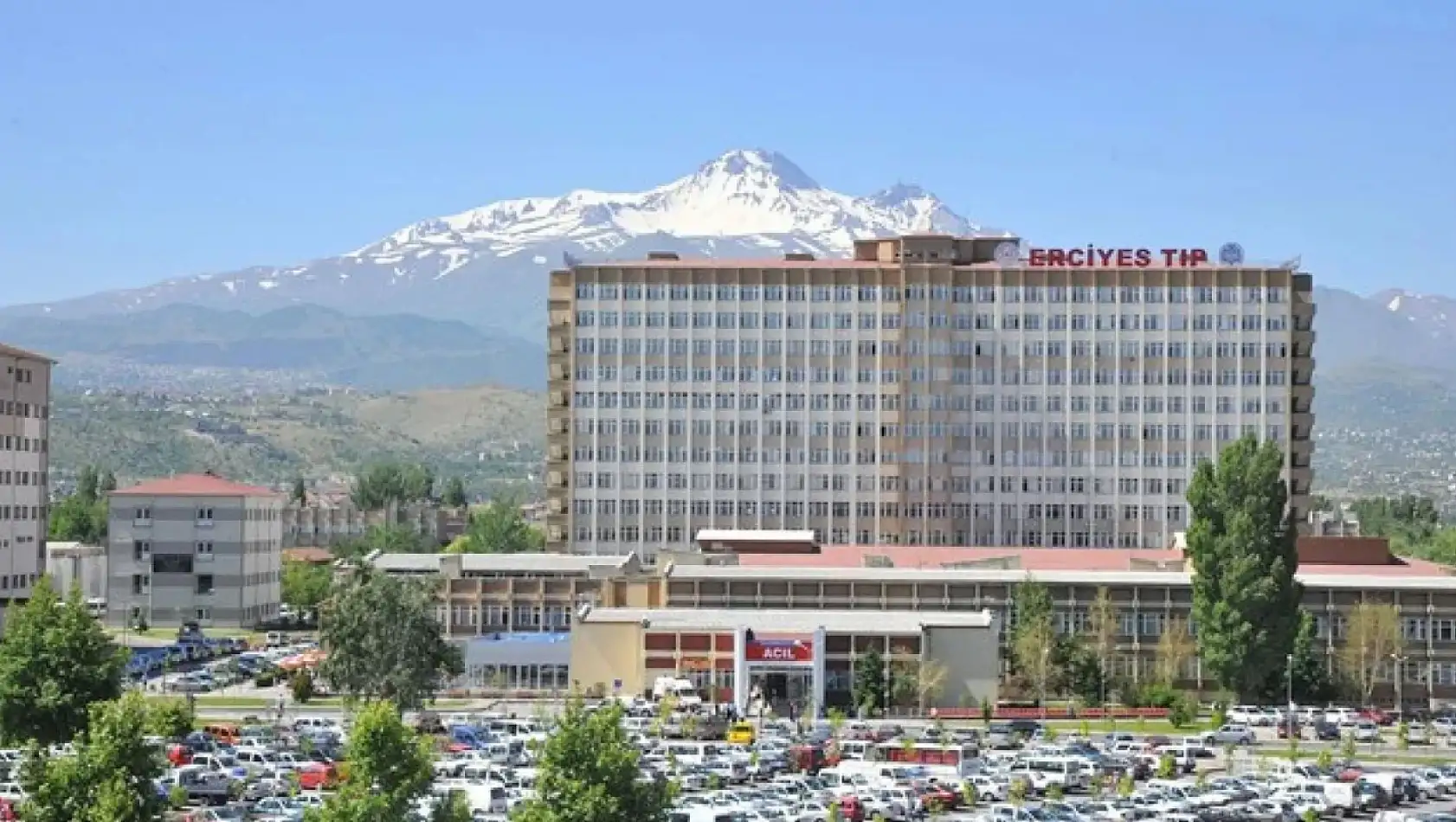 Şifayı Kayseri'de buluyorlar!