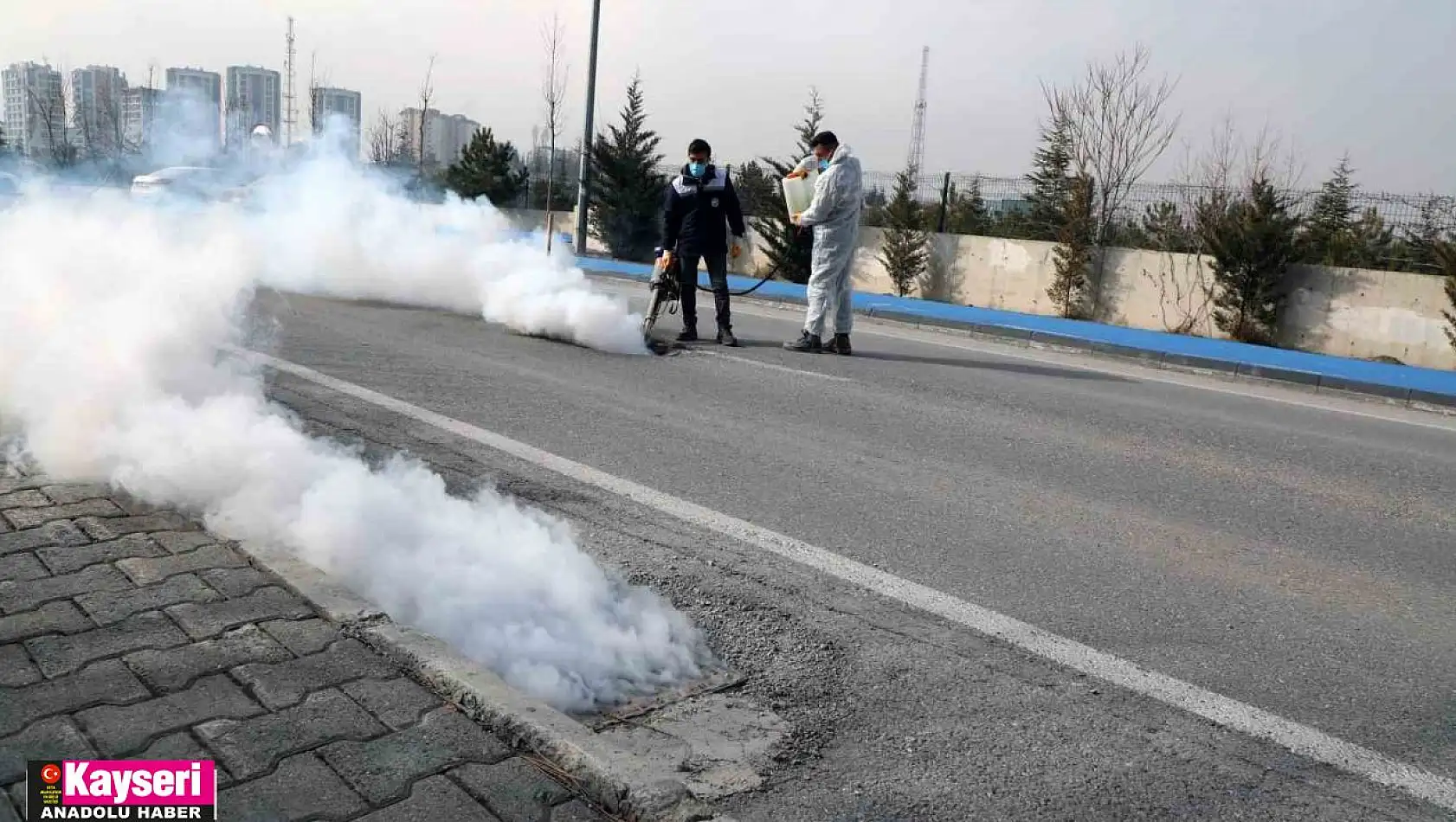 Talas'ta sinek ve haşerata erken önlem