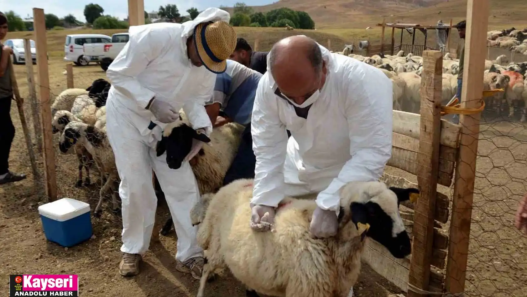 Talas'ta tarımsal kalkınmaya destek sürüyor