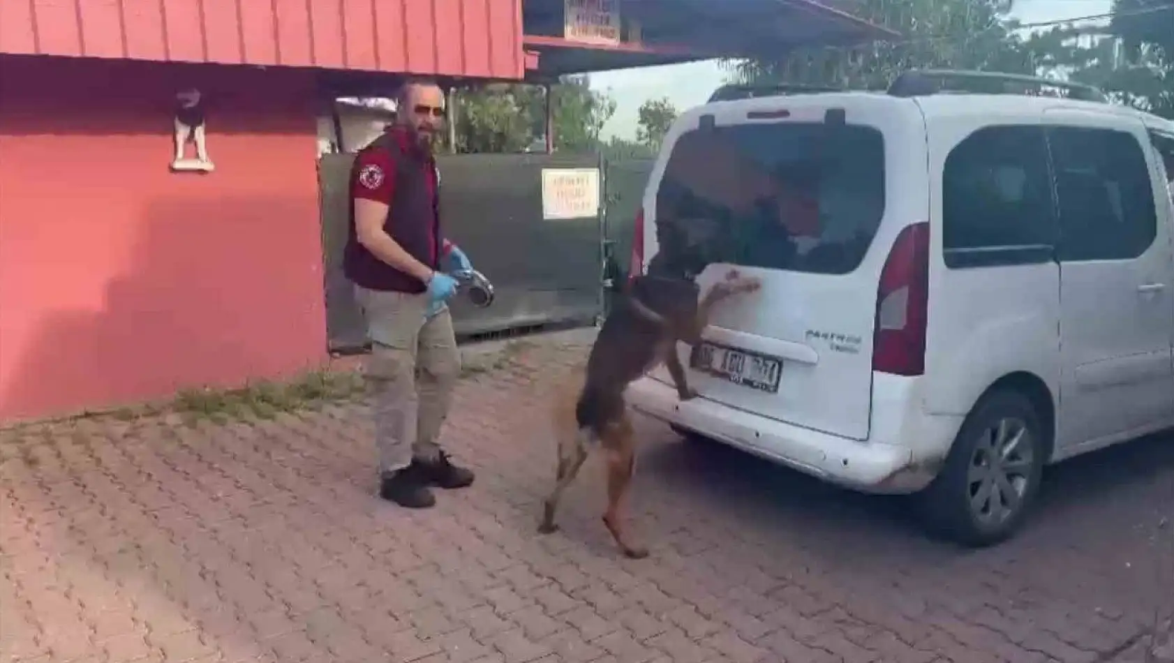 Kraliçe arı ve bal taşıyoruz diye savunma yaptılar!