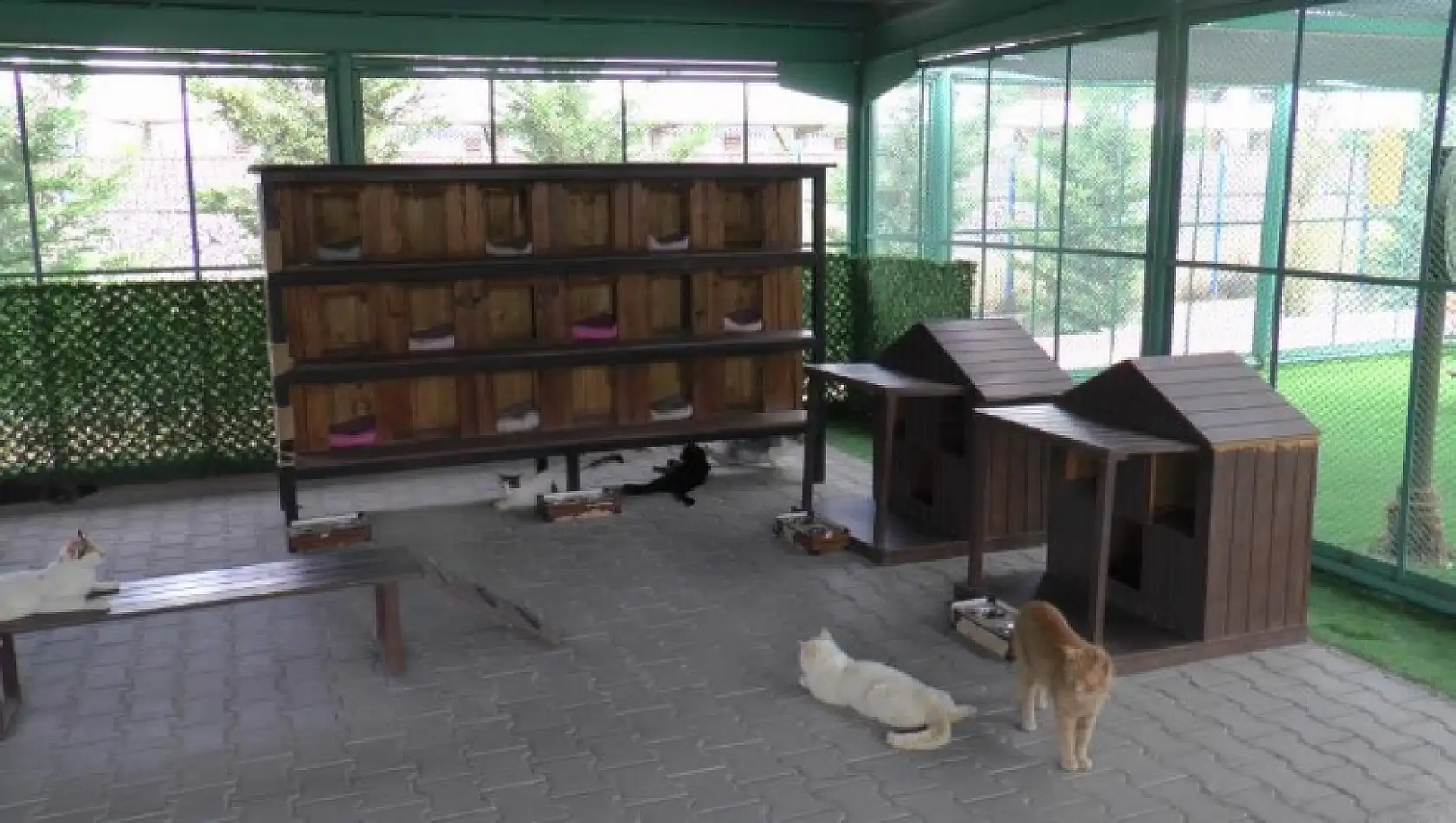 Kayseri'de kışın soğuğuna karşı onlar için kasaba yapıldı