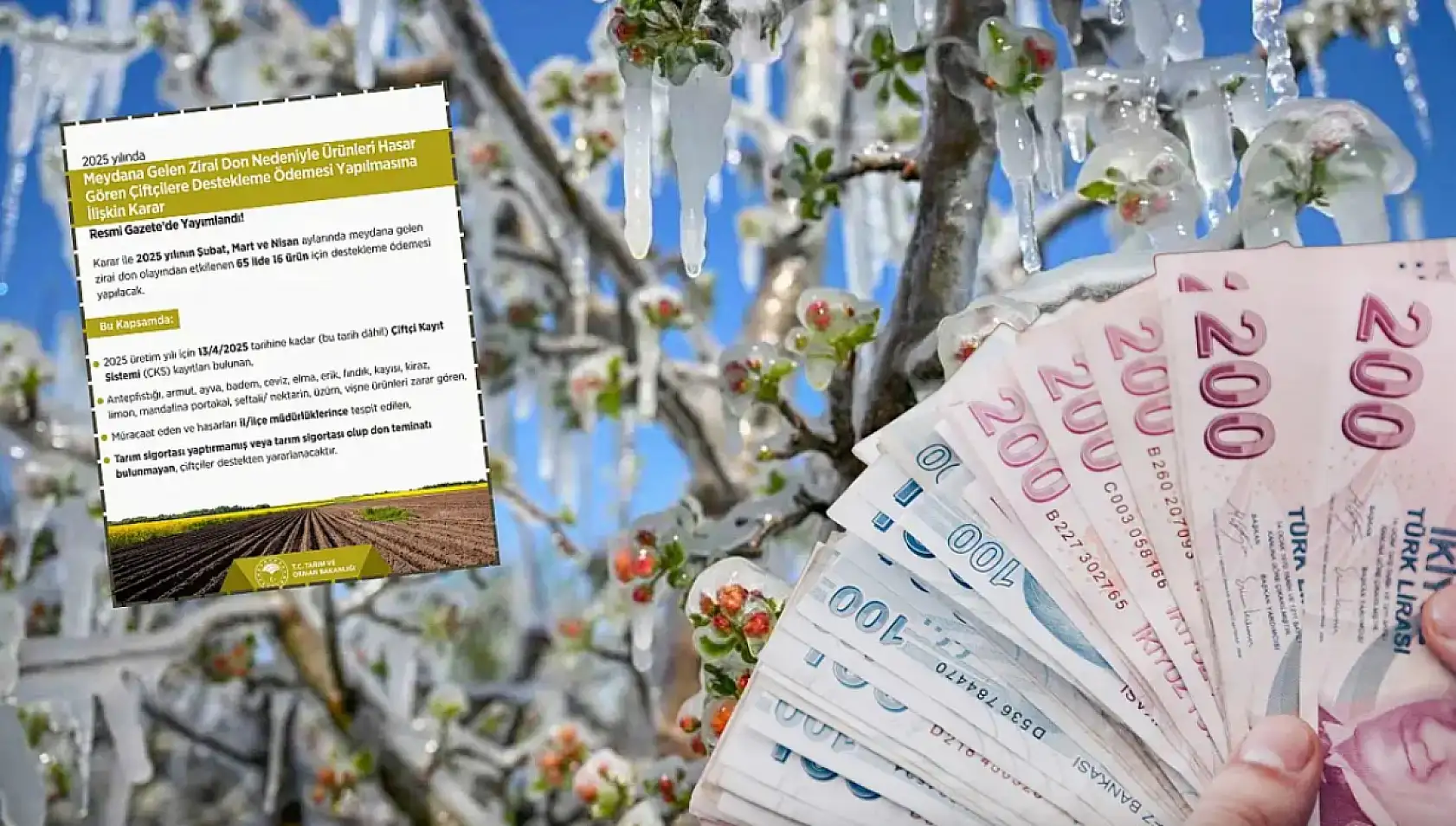 Kayseri'de sessiz pazar günü: Kısa kısa öne çıkan gelişmeler(14 Eylül)