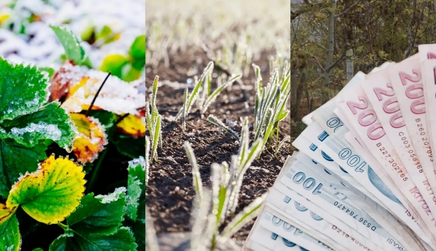 Kayseri'den kısa kısa (13 Nisan)-Saadet Partisi, Spor, Zam, Mobilya Sektörü, Tepki...