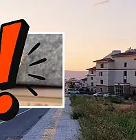 Akrep, yılan, sarıkız, kertenkele, çekirge, kırkayak… Kayseri'nin bu bölgesinde ne ararsan var!
