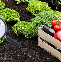 B-Reçete sistemi başlıyor: Sistem nasıl işleyecek?