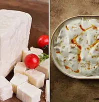 Bakanlık açıkladı! Mantıda kanatlı eti, peynirde küf önleyici çıktı