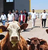 Beydeğirmeni Besi ve Hayvancılık Bölgesi'nde bir yatırım daha hayata geçiyor