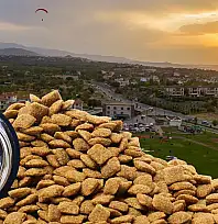 Büyükşehir Belediyesi sokak hayvanları için harekete geçti: 200 bin kilogram...
