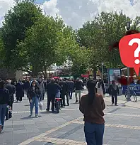 Çekirgeden sonra yeni istila: Kayseri'de evlerin içine giriyorlar! Mahalleliler tedirgin…
