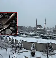 Cumhurbaşkanı Erdoğan imzaladı: Kayseri'de de ihtiyaç sahibi ailelere ücretsiz dağıtılacak!