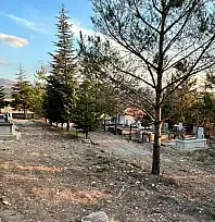 Develi'de mezarlığa gittiler, gördüklerine inanamadılar!
