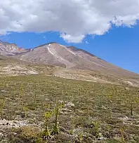 Erciyes'te ağustos sürprizi! Zambık Yaylası'nda neler oluyor?