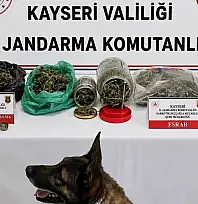 Kayseri'de jandarmadan adrese baskın! Evden bakın neler çıktı