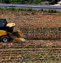 Kayseri'de 30 yıl önce yoktu, şimdi 500 bin tona ulaştı!