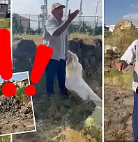 Kayseri'de 700 yıllık gölün son hali içler acısı: Köylü isyan etti, 'Cumhurbaşkanına kadar gideceğim' dedi!