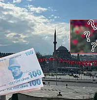 Kayseri'de adet ile satılıyor: 1 adedi 100 TL!
